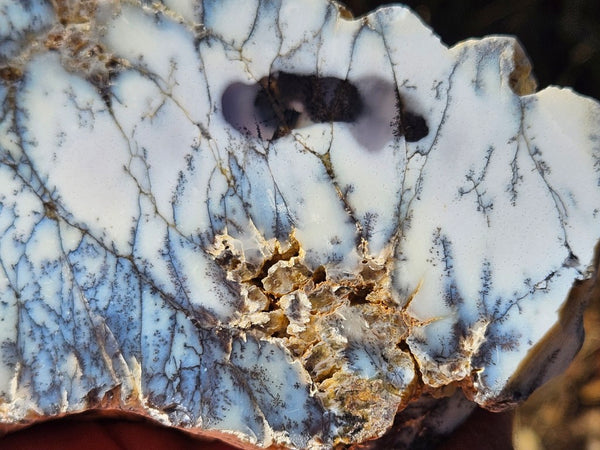 Polished Dendritic Opal DO220