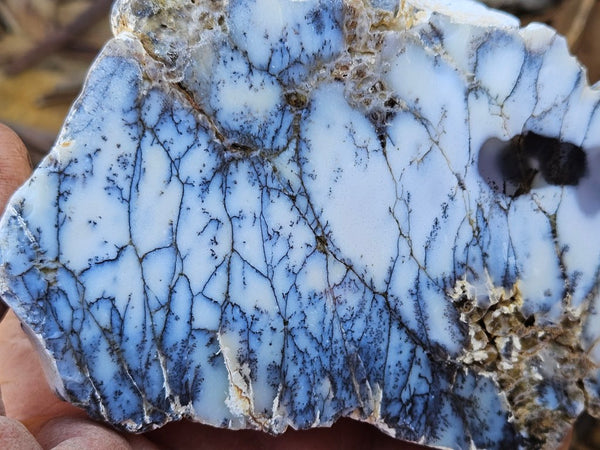 Polished Dendritic Opal DO220