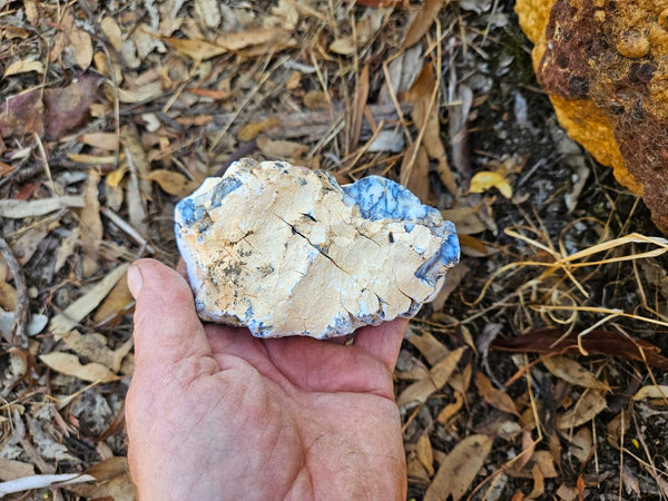 Polished Dendritic Opal DO220