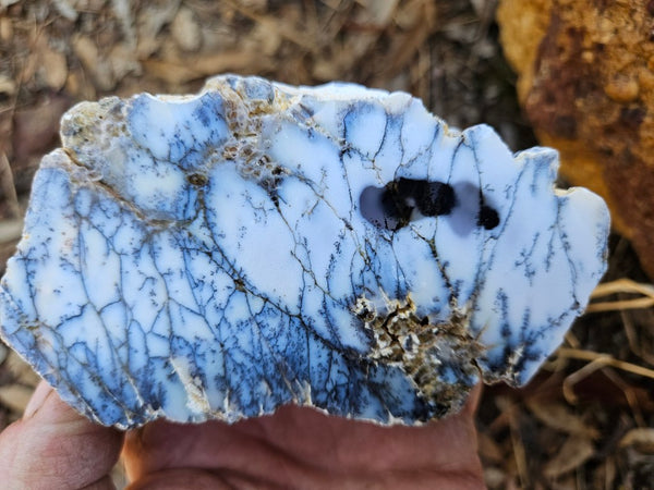 Polished Dendritic Opal DO220