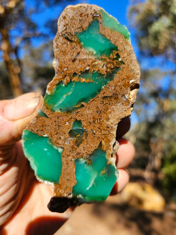 Polished  Chrysoprase  CH478