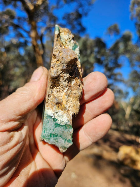 Polished  Chrysoprase  CH478