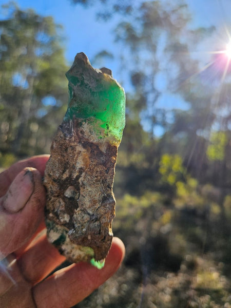 Polished  Chrysoprase  CH478