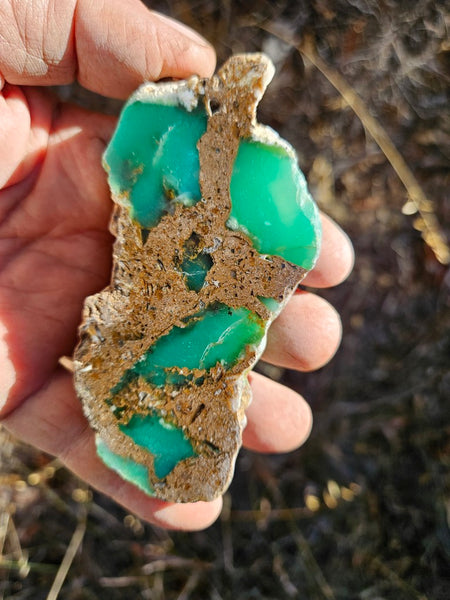 Polished  Chrysoprase  CH478