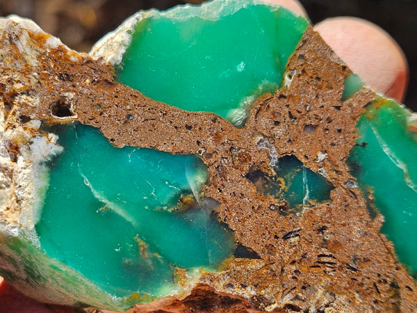 Polished  Chrysoprase  CH478