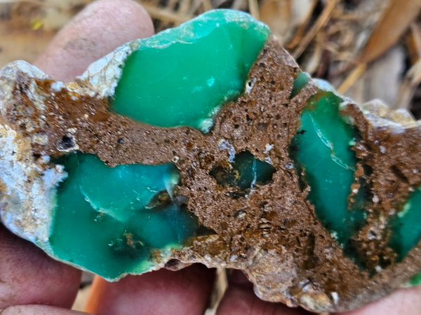 Polished  Chrysoprase  CH478