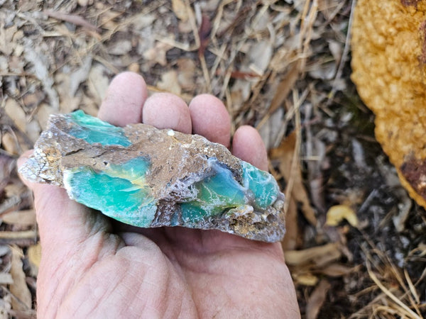 Polished  Chrysoprase  CH478