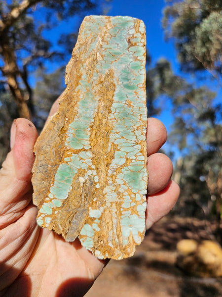 Variscite Polished Slab.  VP 295