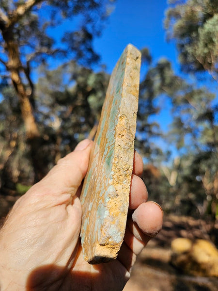 Variscite Polished Slab.  VP 295