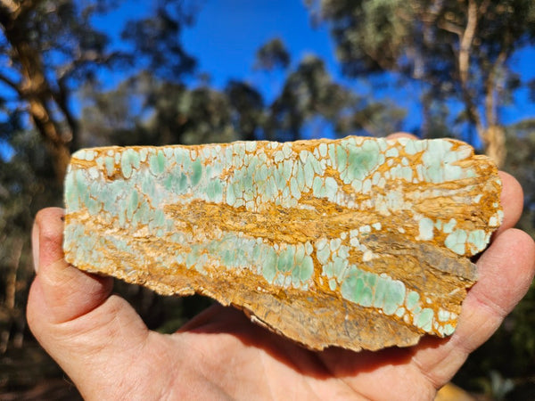 Variscite Polished Slab.  VP 295