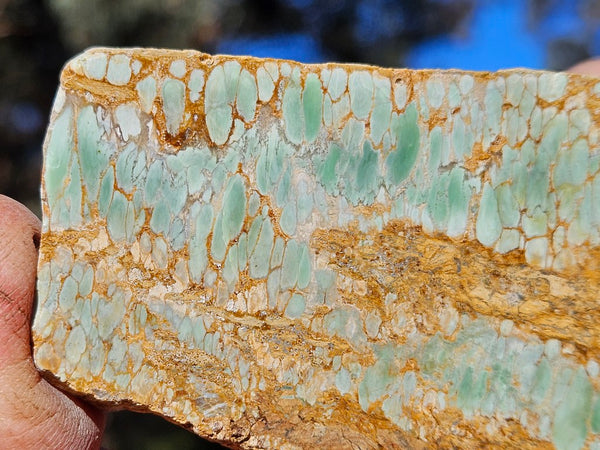 Variscite Polished Slab.  VP 295