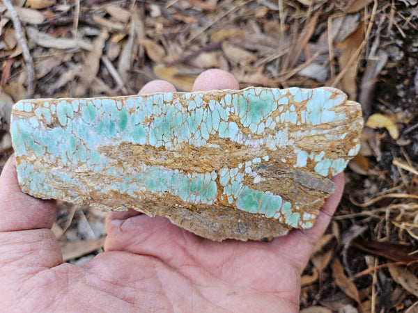 Variscite Polished Slab.  VP 295