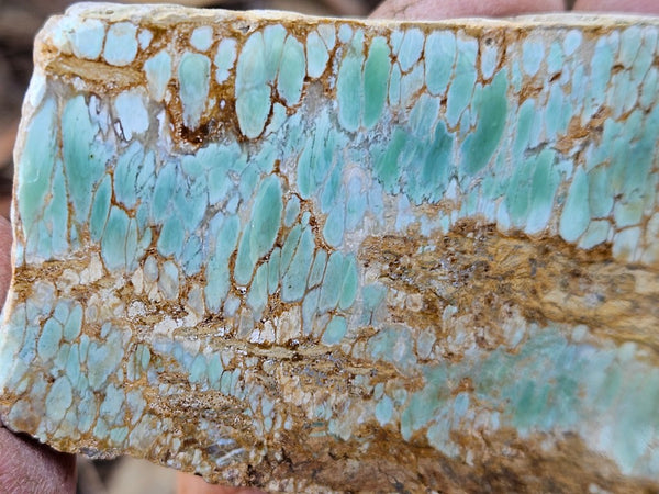 Variscite Polished Slab.  VP 295