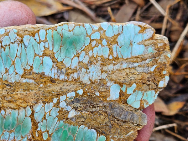 Variscite Polished Slab.  VP 295