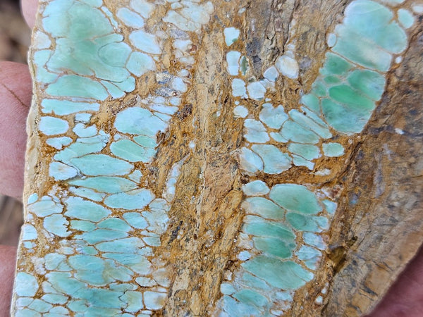 Variscite Polished Slab.  VP 295