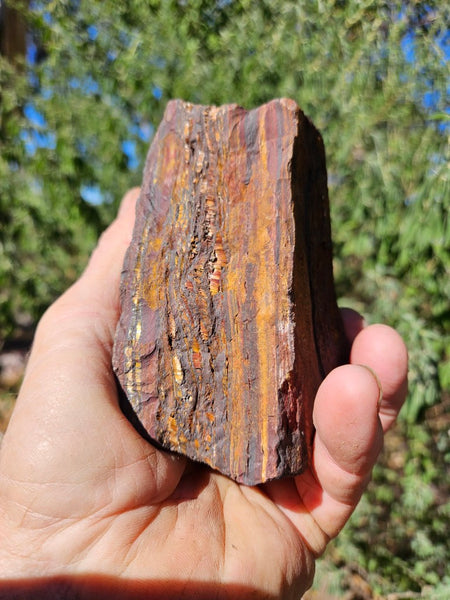Tiger Iron rough rock TIR178
