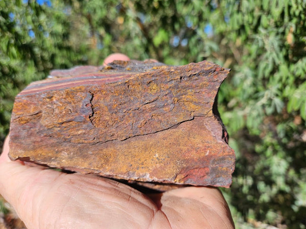 Tiger Iron rough rock TIR178