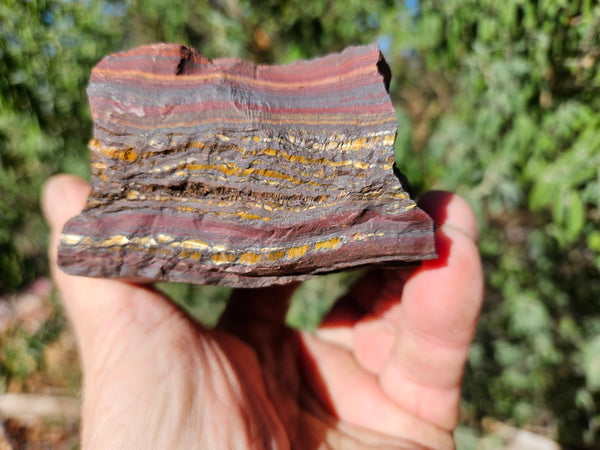 Tiger Iron rough rock TIR178