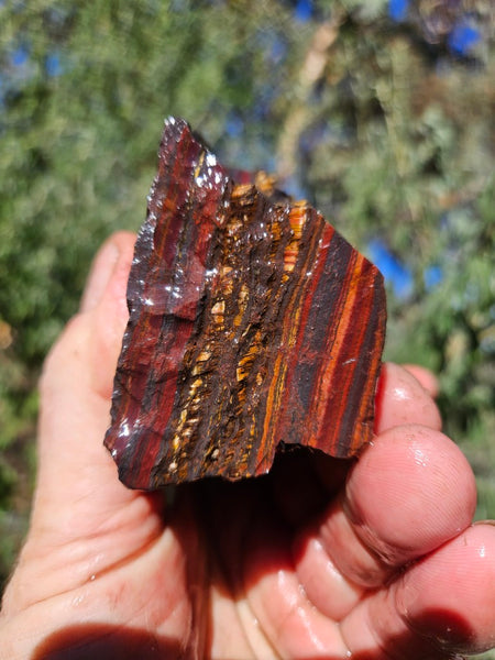 Tiger Iron rough rock TIR178
