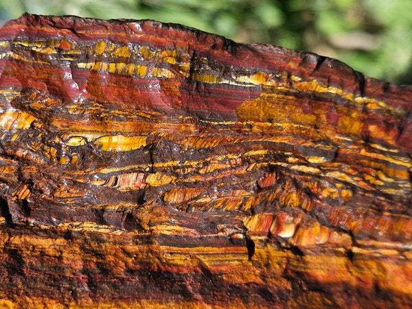 Tiger Iron rough rock TIR178