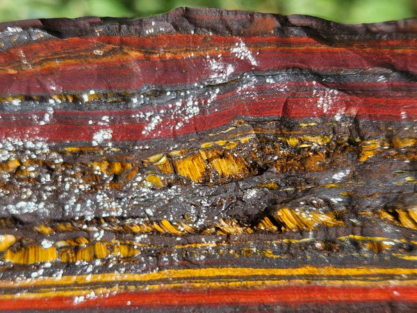 Tiger Iron rough rock TIR178