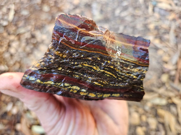 Tiger Iron rough rock TIR178