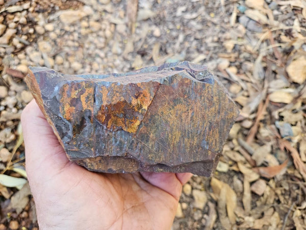 Tiger Iron rough rock TIR179