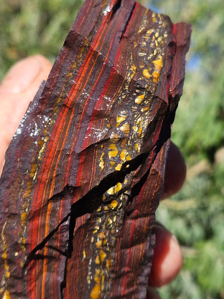 Tiger Iron rough rock TIR179