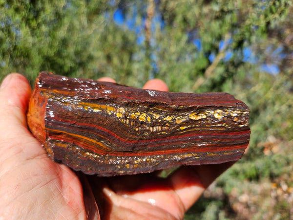 Tiger Iron rough rock TIR179