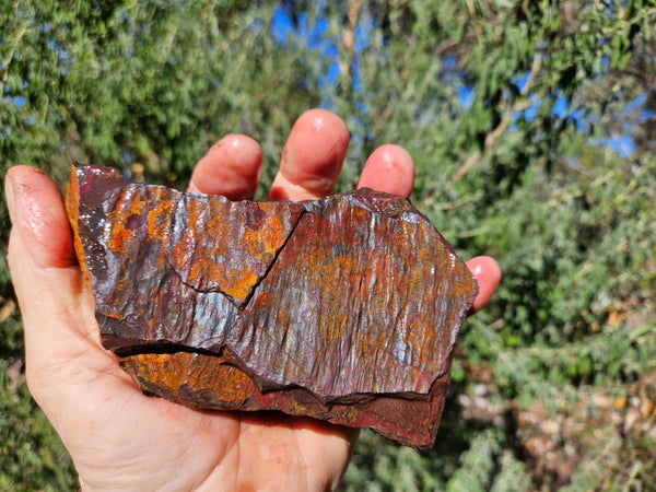 Tiger Iron rough rock TIR179