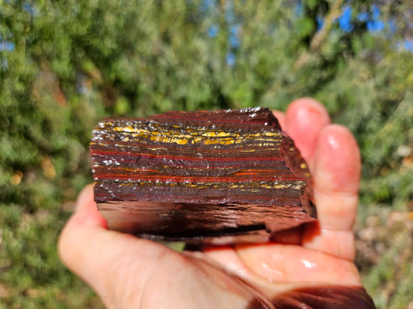 Tiger Iron rough rock TIR179