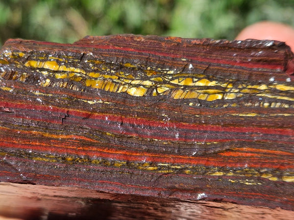 Tiger Iron rough rock TIR179