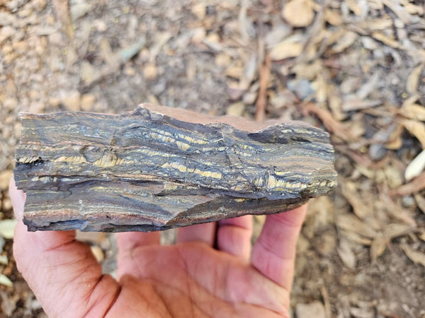 Tiger Iron rough rock TIR181