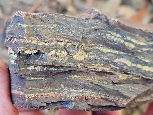 Tiger Iron rough rock TIR181