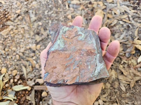 Tiger Iron rough rock TIR181