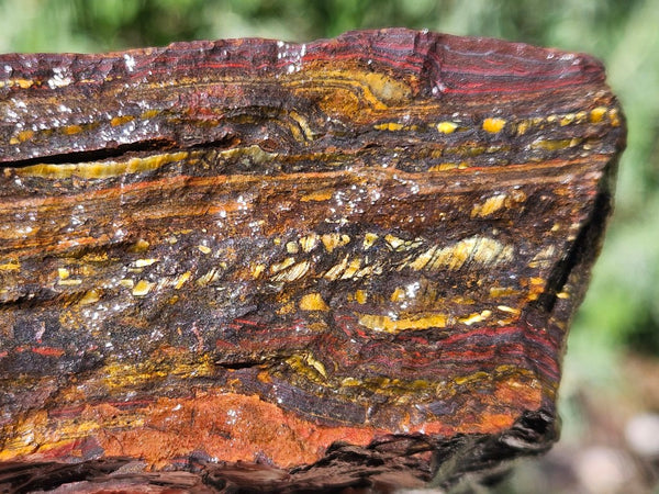 Tiger Iron rough rock TIR181