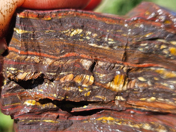 Tiger Iron rough rock TIR181