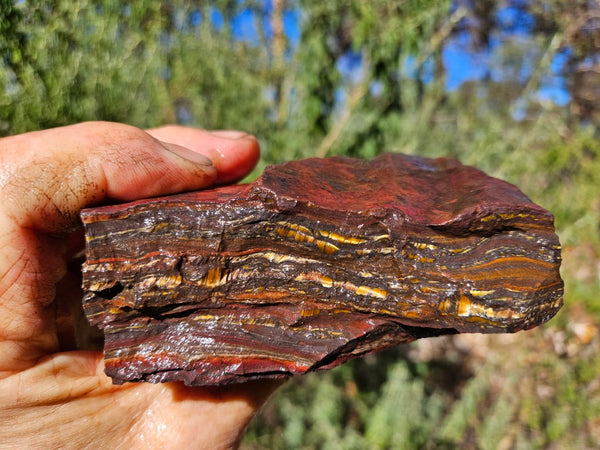 Tiger Iron rough rock TIR181
