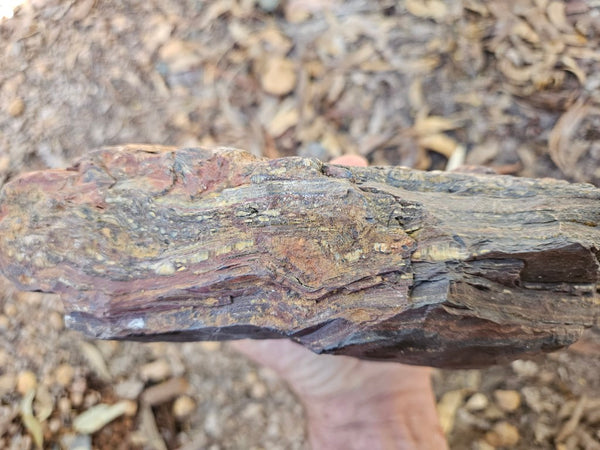 Tiger Iron rough rock TIR182