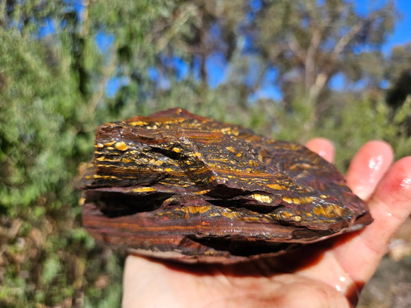 Tiger Iron rough rock TIR182