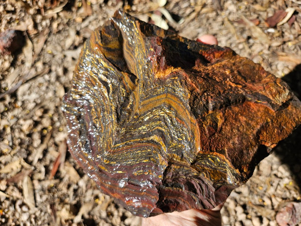 Tiger Iron rough rock TIR182