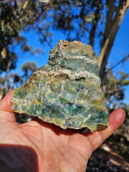 Green Opal  rough.  GOR 137