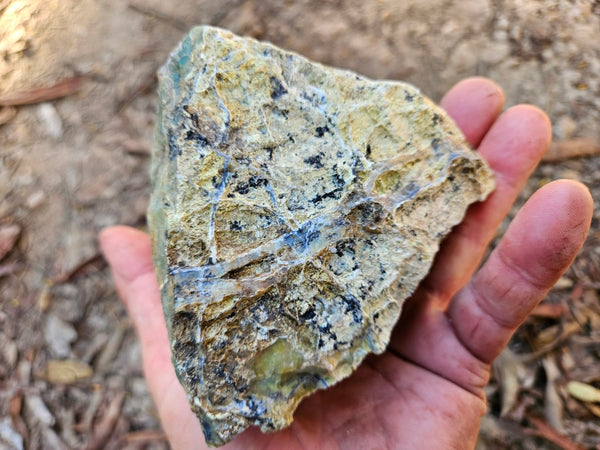 Green Opal  rough.  GOR 137
