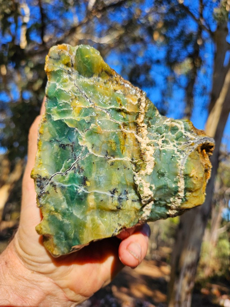 Newest Products – Page 6 – GemstoneGeeks.