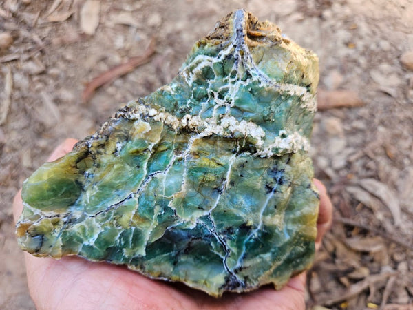 Green Opal  rough.  GOR 137