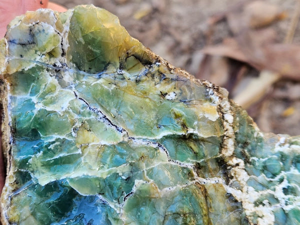 Green Opal  rough.  GOR 137