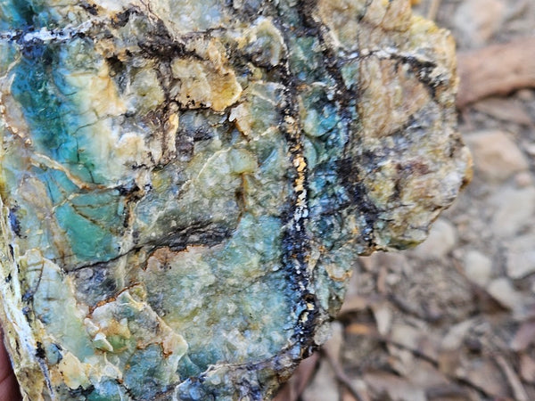 Green Opal  rough.  GOR 137