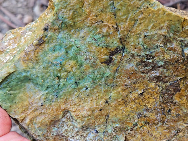 Opalised Serpentine rough.  OSR 111