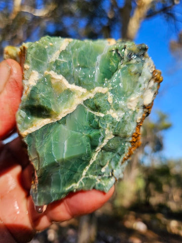 Green Opal  rough.  GOR 140
