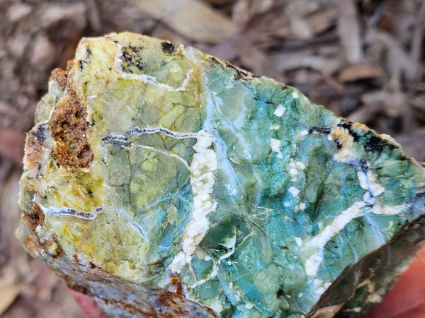 Green Opal  rough.  GOR 140